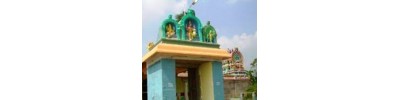 249. திருஇலம்பையம் கோட்டூர்